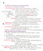 BIO 102 Phylogeny & Protists