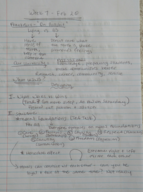 American Gov Week 7