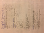 Week 3-4 Notes