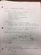 MARK 3000 Week 7 Notes