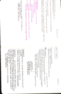 LSB 3213, Week 6 Notes