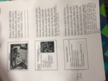 Dionysus Notes