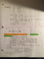 BUS 230 - Business Statistics 1 Week 5 Notes