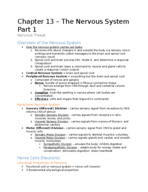Human Anatomy Chapter 13 Nervous System Part 1 (Nervous Tissue)