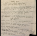 Weeks 6-8