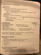 LSB 3213, Week 7 Notes