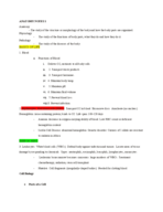 Anatomy week 1 notes 