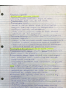 Animal Physiology Digestion