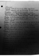 Spanish Exam Guide