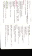 MGMT 3013, Week 7 Notes