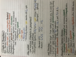 Biology Chapter 10: Photosynthesis