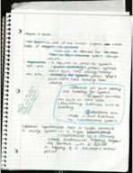 Chapters 3 and 4 and Beginning of 5
