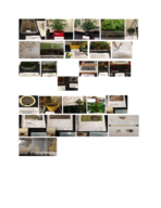 Bio 1031 Lab Midterm Pictures 