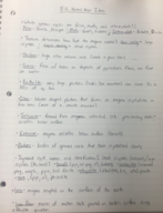 ESC Notes #5