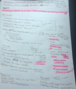 ANSC 201, WEEK 6-NOTES