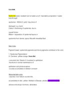 Anatomy 2 Midterm SG