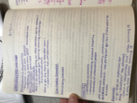 LSB 3213, Week 8 notes