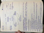 MGMT 3013, week 8 notes