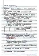3/7&9  Chapter 9: Branding and Products
