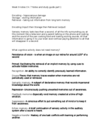 STUDY GUIDE PART 1CH7 