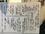 Iron handout - relevant to study guide