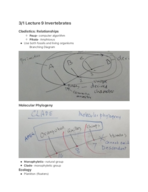 Historical Geology 2401 week 6