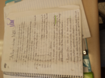 Stellar Evolution Studyguide