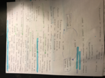 Adolescent Development Chapter 6