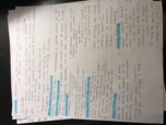 Adolescent Development, Chapter 7