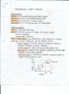 Exam 1 Study Guide