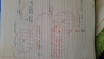 BIOL 100: Week 10 Notes