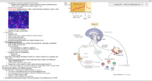 Notes: Emotion and Stress