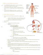 BSC Week 8- Heart and Blood Vessels