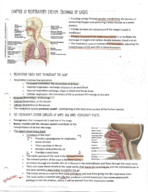 Human Biology- Week 10 Respiratory System