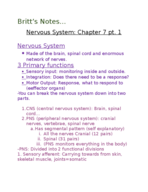 Exam 3 Part 1 Notes..