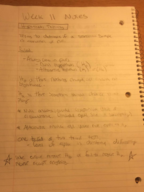 E370 Week 11 Notes