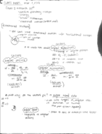 PH 101- Week 9 Notes