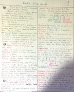 Final Exam Bio 005A