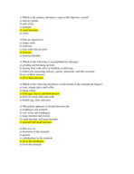 Exam 3 Practice Questions