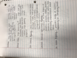 MKTG 311 Class Notes Bundle