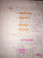Biology 100, Chapter 4 Notes, Week 9 Notes 