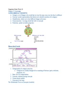 Cognition Notes Week 10