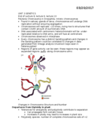 Unit 3 Notes