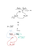 CS - Midterm 2