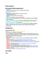 Phylum Arthropoda