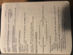 MGMT 3013, Week 10 Notes