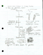 Study Guide BCHM 3010