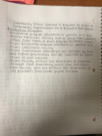 Delinquency Prevention And Control