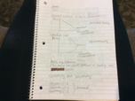 MARK 3000 Week 11 Notes