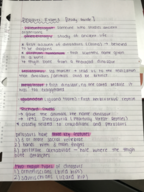Dinosaurs Study Guide